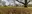 waroux-144800.jpg