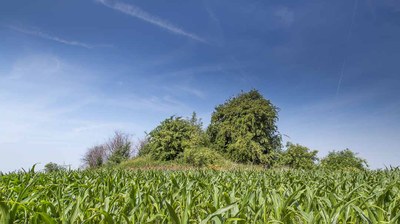 Le tumulus de Xhendremael
