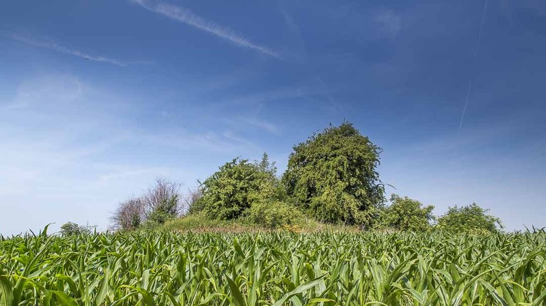 Le tumulus de Xhendremael
