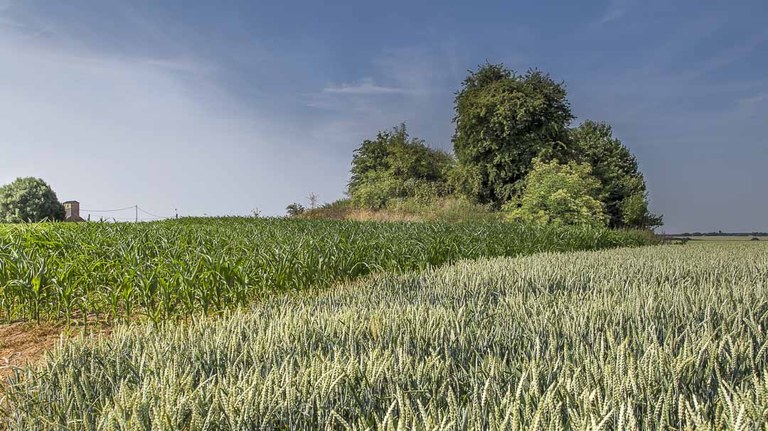 tumulus-8200.jpg