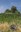 tumulus-8204.jpg