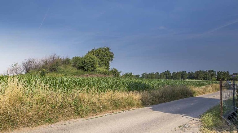 tumulus-8206.jpg