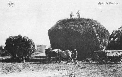 Après la moisson